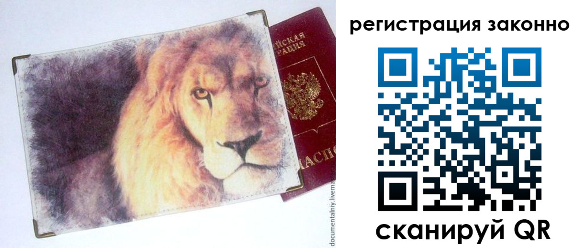 прописка гарантия в Большом Камне